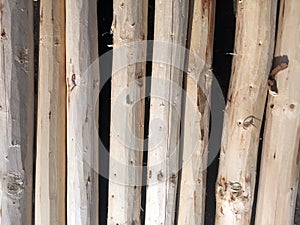 Wood logs pile for interesting background ideas. for interesting and creative backgrounds.