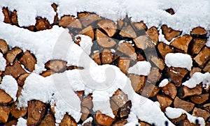 Wood, logs and split trunks