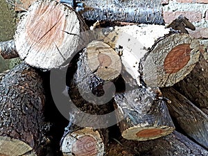 wood logs stockpiled for winter