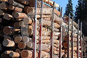 Holz protokolle auf der LKW anhänger 