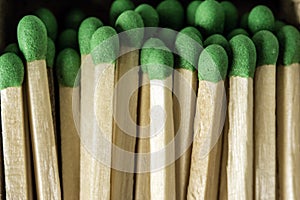  wood matches with green tips