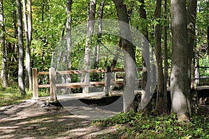A wood and metal bridge crossing a creek in a forest at Petrifying Springs Park in Kenosha, Wisconsin
