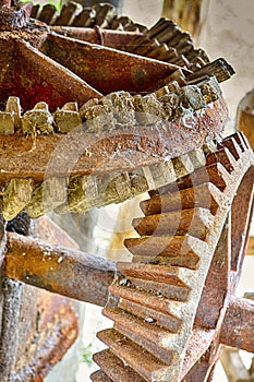 Wood and Metal Cog Wheels Connected Together in One Design Mechanism Used Old Mills Grain Grinding