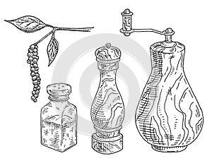 Wood mill, glass salt shaker, pepper plant with leaves and peppercorns. Vintage vector engraving