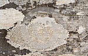 Wood molding, and old wood patterns.