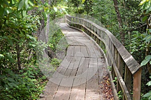 Wood nature trail bridge in forest