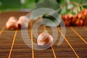 Wood nut on bamboo napkin