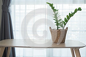 Wood office table with garden tree on wood basket