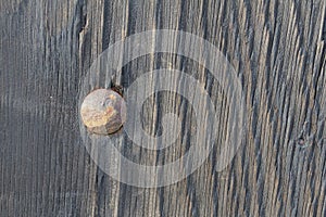 Wood with old bolt texture