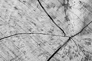 Wood and old wood patterns, cracks in the wood.