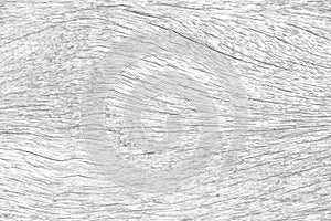 Wood old texture with cracked line patterns white grey background