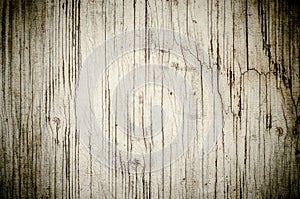 Wood old texture with natural patterns