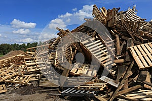 Wood Pallets in Recycling Landfill on A Bright Sunny Day