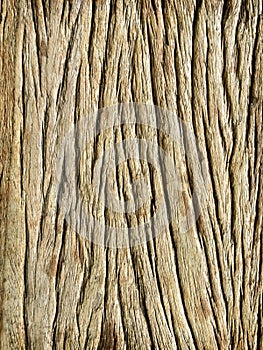 Wood panel background, Abstract plank for texture