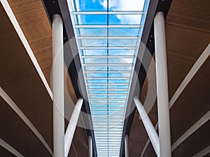 wood-paneled ceiling of a modern building with large glass windows