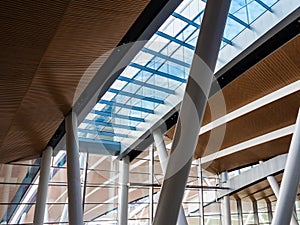 wood-paneled ceiling of a modern building with large glass windows