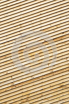 Wood paneling photo