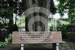 A wood park bench engraved with a poem by Luis R. Owano in front of a tree and plants in a garden in Wisconsin