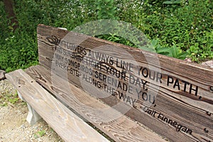 A wood park bench with an engraved quote from Cait Finniegan surrounded by plants in a garden