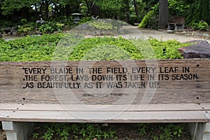 A wood park bench engraved with a quote from Henry David Thoreau in front of a garden in Wisconsin