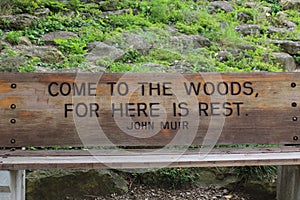 A wood park bench engraved with a quote from John Muir in front of a rock garden