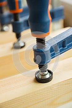 Wood pasting by clamps in a joiner's workshop photo