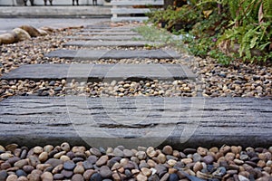 Wood path in garden