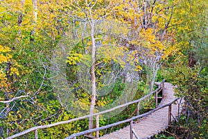 Wood path in the Plitvice lake national park