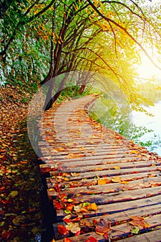 Wood path in the Plitvice national park