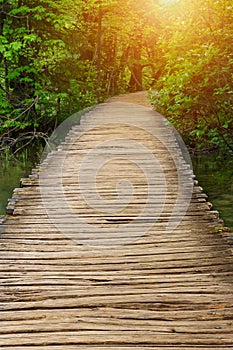 Wood path in the Plitvice national park