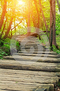 Wood path in the Plitvice national park