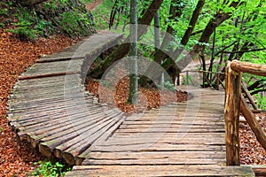 Wood path in the Plitvice national park