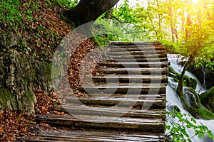 Wood path in the Plitvice national park