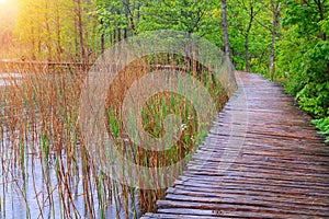 Wood path in the Plitvice national park