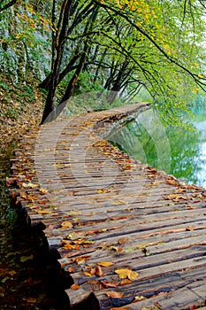 Wood path in the Plitvice national park in autumn