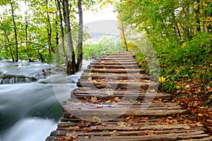 Wood path in the Plitvice national park in autumn