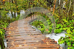 Wood path in the Plitvice national park in autumn