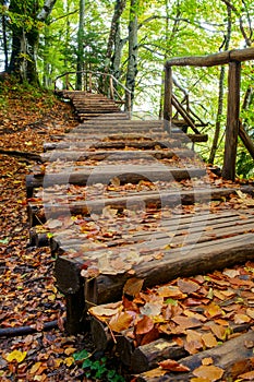 Wood path in the Plitvice national park in autumn