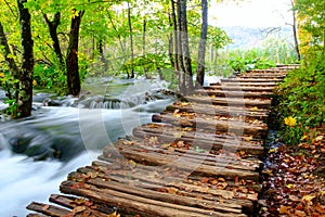 Wood path in the Plitvice national park in autumn