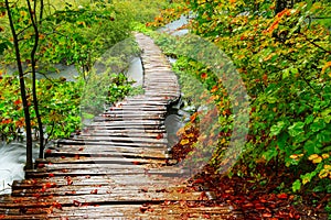Wood path in the Plitvice national park in autumn