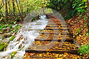 Wood path in the Plitvice national park in autumn