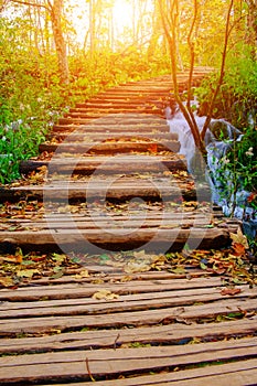 Wood path in the Plitvice national park at autumn