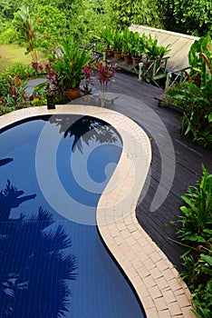 Wood patio & pool layout with landscaping