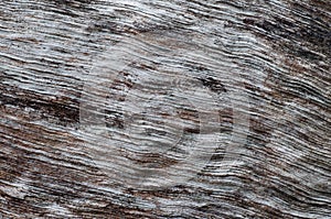 Wood pattern