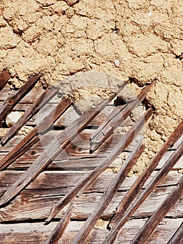 Wood pattern covered by mounded ground photo