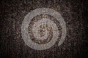 Wood pattern. Trunk Texture. Tree Stem Texture. Stem Pattern