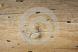 Wood Patterned With Grain And Beetle Holes