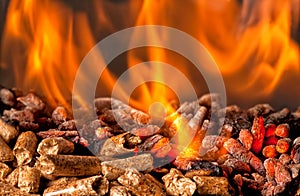 Wood pellet photo