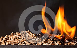 Wood pellet photo