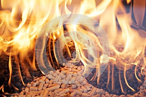 Wood pellets photo